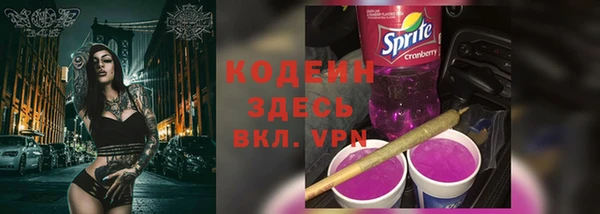 ГАЛЛЮЦИНОГЕННЫЕ ГРИБЫ Алзамай