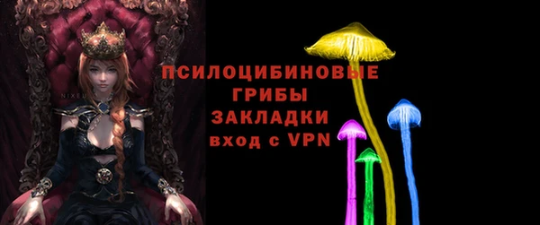 ГАЛЛЮЦИНОГЕННЫЕ ГРИБЫ Алзамай