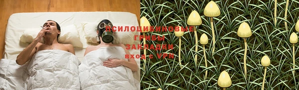 ГАЛЛЮЦИНОГЕННЫЕ ГРИБЫ Алзамай
