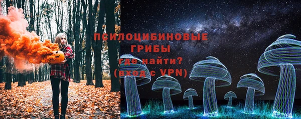 ГАЛЛЮЦИНОГЕННЫЕ ГРИБЫ Алзамай