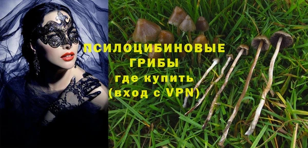 ГАЛЛЮЦИНОГЕННЫЕ ГРИБЫ Алзамай