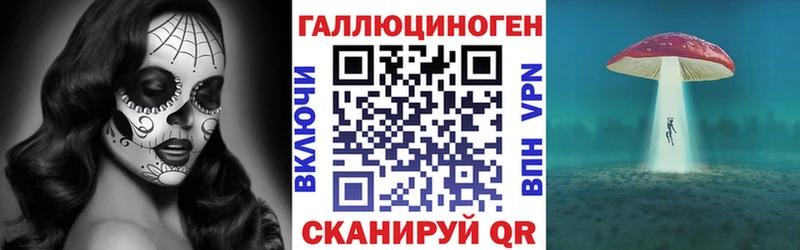 Псилоцибиновые грибы Cubensis  Нижние Серги 